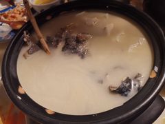 乾隆鱼头汤-桂满陇-十里风荷(合生汇店)