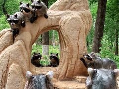 -北京野生动物园