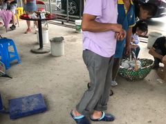 -马陆小张葡萄园农家乐