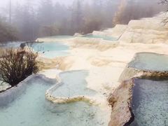 -黄龙山原始森林景区