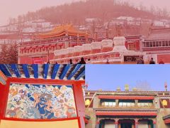 -青藏高原野生动物园