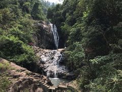 -清溪森林公园