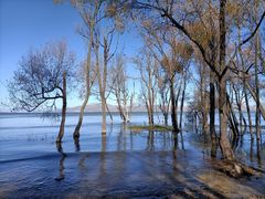 -洱海月湿地公园