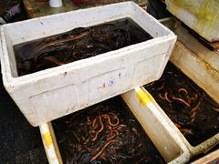 -岳各庄批发市场(西四环中路店)