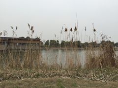 -梁鸿国家湿地公园