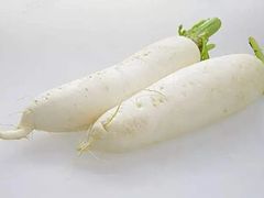 白萝卜-杭州登云路农贸市场(胜月院店)