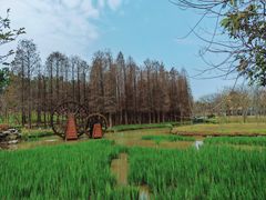 -森波拉奇妙世界