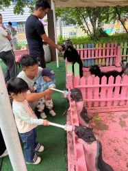 -萌宠亲子动物乐园(槐房万达店)