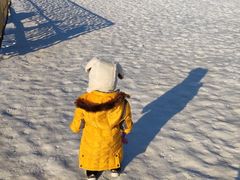 -绿野森林乐园冰雪季
