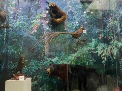 -国家自然博物馆