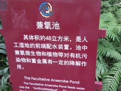 -成都市活水公园
