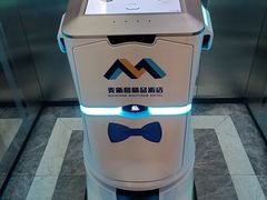 -麦新格精品酒店(上海浦东机场川沙迪士尼店)