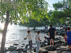 -宝安西湾红树林湿地公园