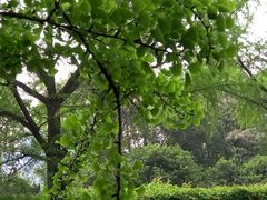 -四川大学(华西校区)