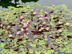 -国家植物园南园