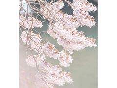 -红星桥(地铁站)