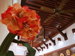 -金厨泰国餐厅·全泰籍厨师料理(拱北店)