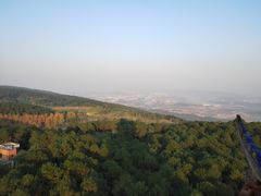 -铁山坪森林公园