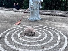 -四门塔风景区