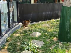 -大连森林动物园