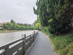-嘉定紫藤园