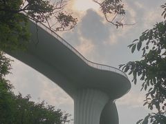 -飞凤山奥体公园