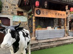 -莫愁村问君老酸奶