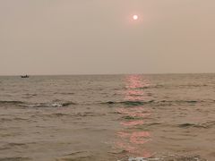 -贝壳沙滩