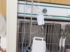 -美联众合动物医院·24h京西诊疗中心