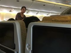 -新加坡航空公司(ION)