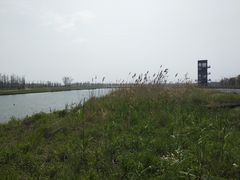 -春花秋色城市公园