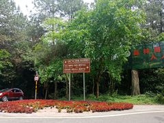 -铁山坪森林公园