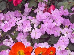 -人民公园(罗湖区)