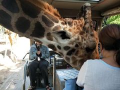 -清迈夜间动物园