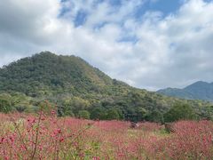-广州市石门国家森林公园
