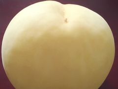 -天泉水都(子固路馆)