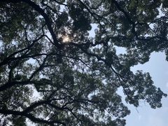 -普陀山慧济禅寺