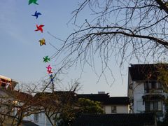 -梨云山居农家乐