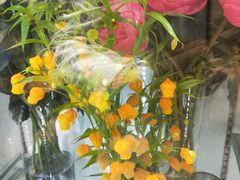 -双季花艺园艺市场(浦东店)