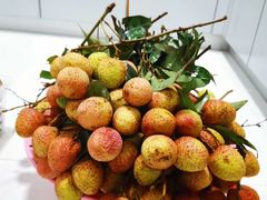 -双福水果批发市场