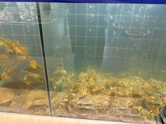 -川骄海鲜自助(亚运村店)
