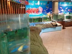 android_upload_pic-老东营·东营菜(西四路店)