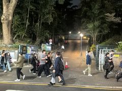 -九龙公园