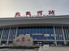 -小叶大馅饺子城