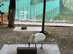 -吉林大学(前卫南区)
