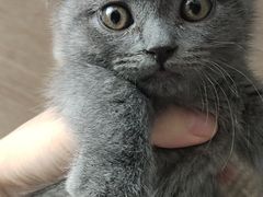 -佳雯宠物医院(四明中路分院)