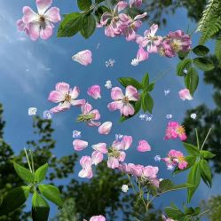 -如一·美甲美睫