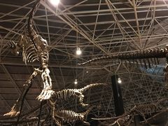 -世界恐龙谷景区