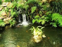 -华南国家植物园-售票处