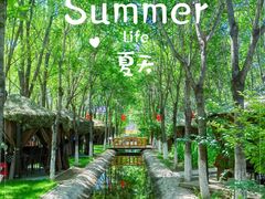 -草根堂农场